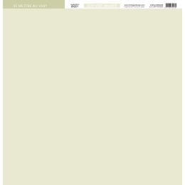 Papier uni Florilèges Design DUO VERT AMANDE par Florilèges Design. Scrapbooking et loisirs créatifs. Livraison rapide et cad...