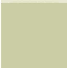 Papier uni Florilèges Design DUO VERT AMANDE par Florilèges Design. Scrapbooking et loisirs créatifs. Livraison rapide et cad...